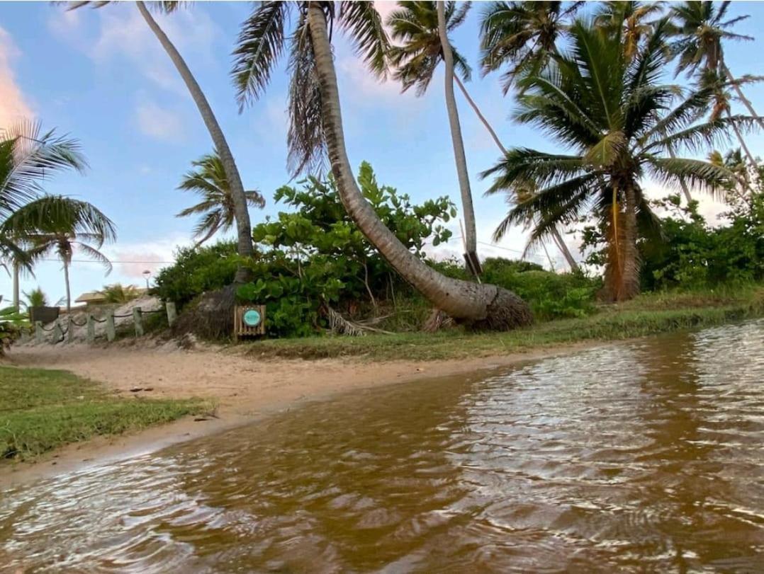 דירות Maravilhoso Garden Imbassai Pe Na Areia Bahia Litoral מראה חיצוני תמונה